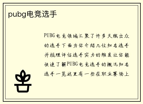pubg电竞选手